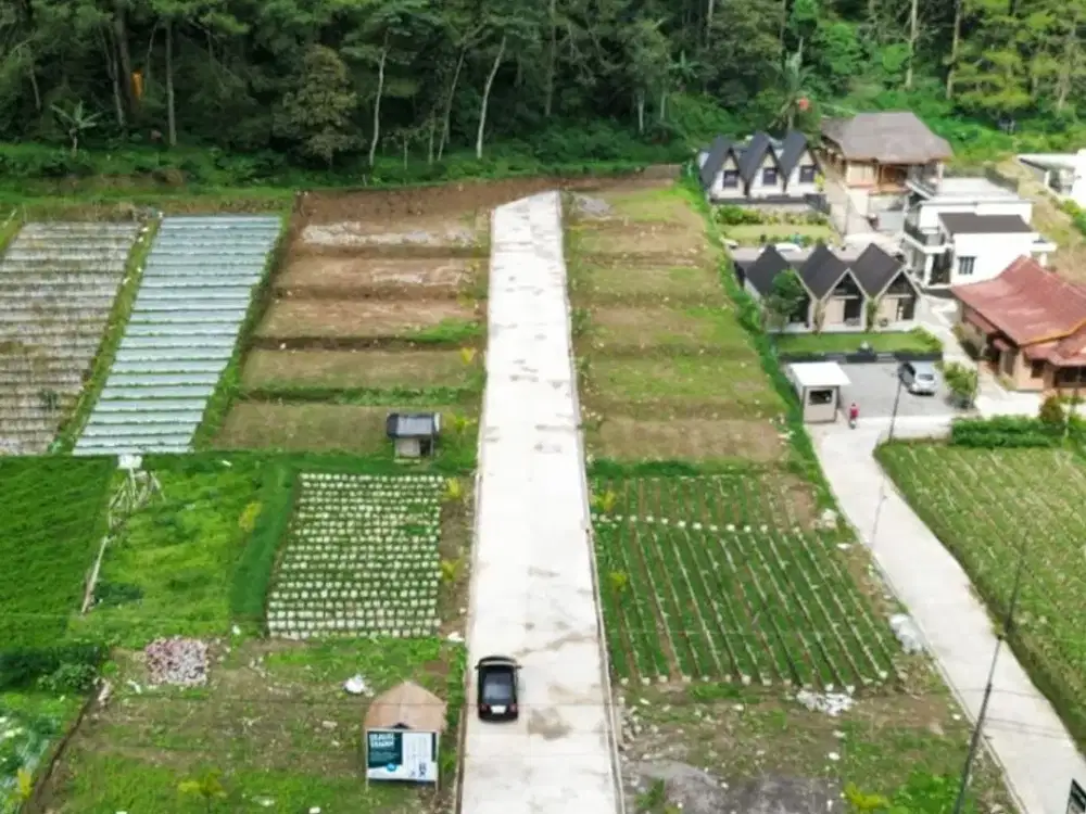 TANAH KAVLING BUKIT SEKIPAN KALISORO TAWANGMANGU KARANGANYAR