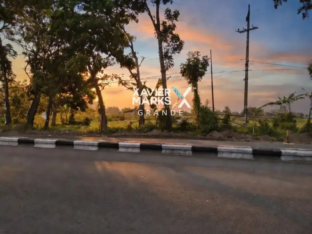 Dijual Tanah Murah di Nol Jl. Raya Mondoroko - Singosari, Malang