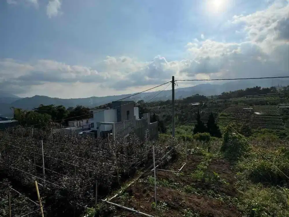 KEBUN SUBUR  MURAH KOTA BATU VIEW ISTIMEWA