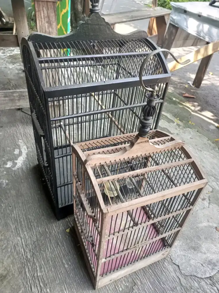 Kandang kotak no 2 dan 4