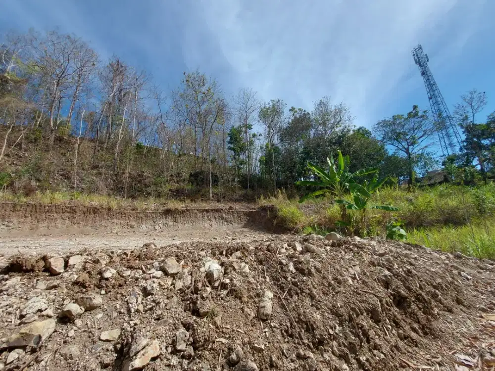 Tanah SHM Pleret Dekat Puskesmas Dlingo