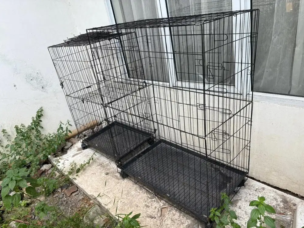 Kandang kucing / anjing