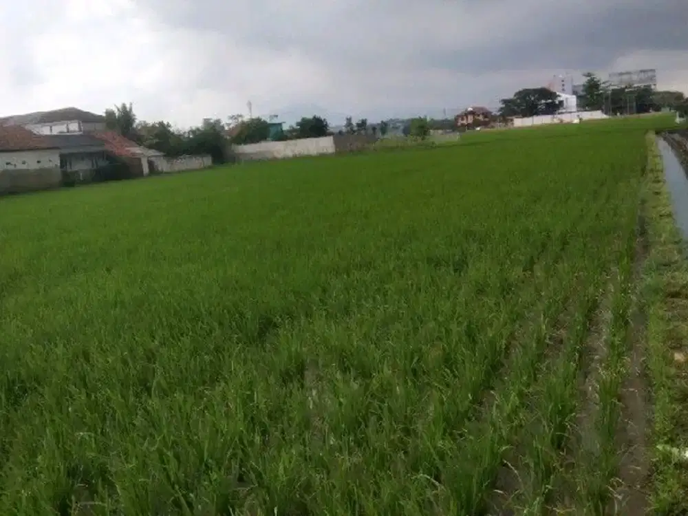 Tanah Sawah untuk investasi di sayap Pangkalan Solokan Jeruk Majalaya Ref.05361