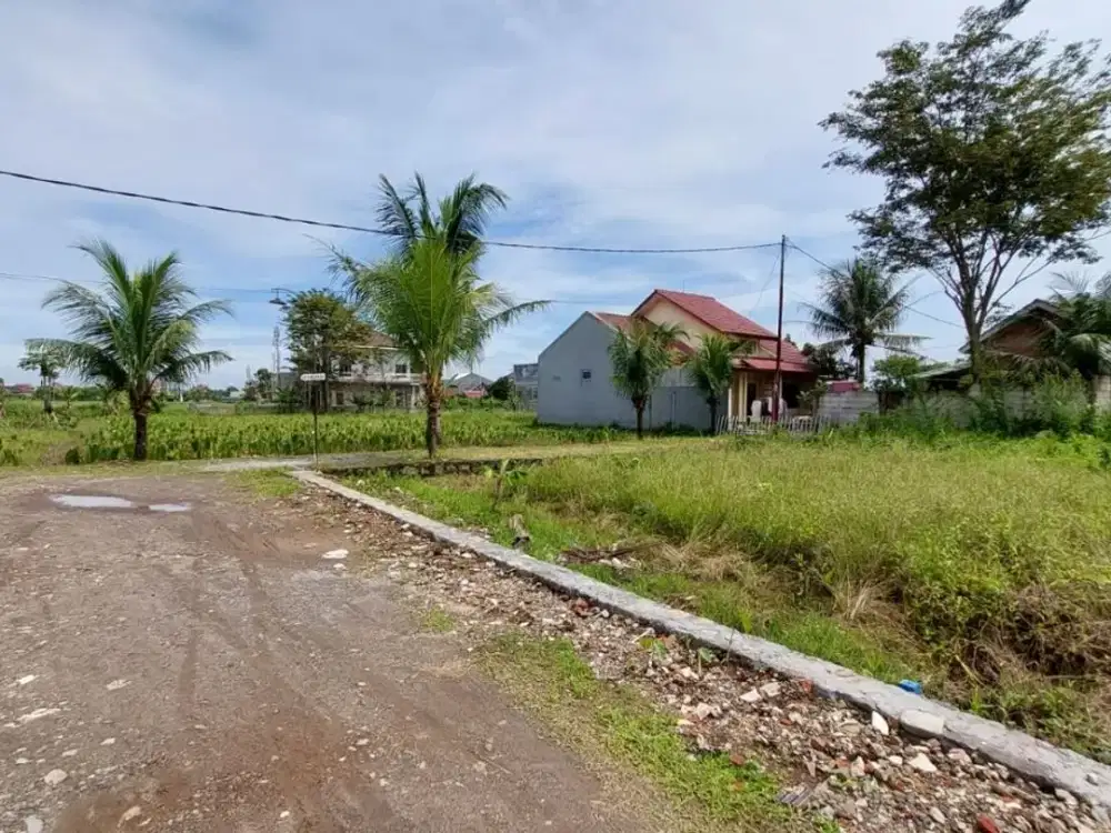 Tanah Kavling Murah Dekat Kampus IPB, SHM 2 Jt-an