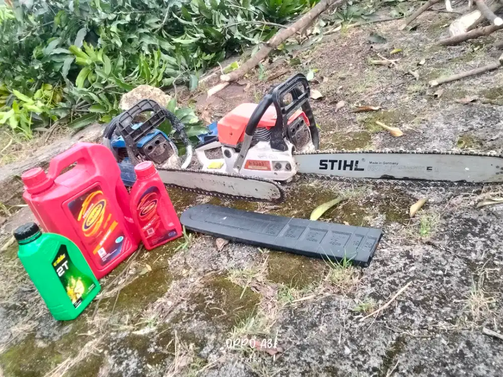 Jasa tebang pohon se-jabodetabek