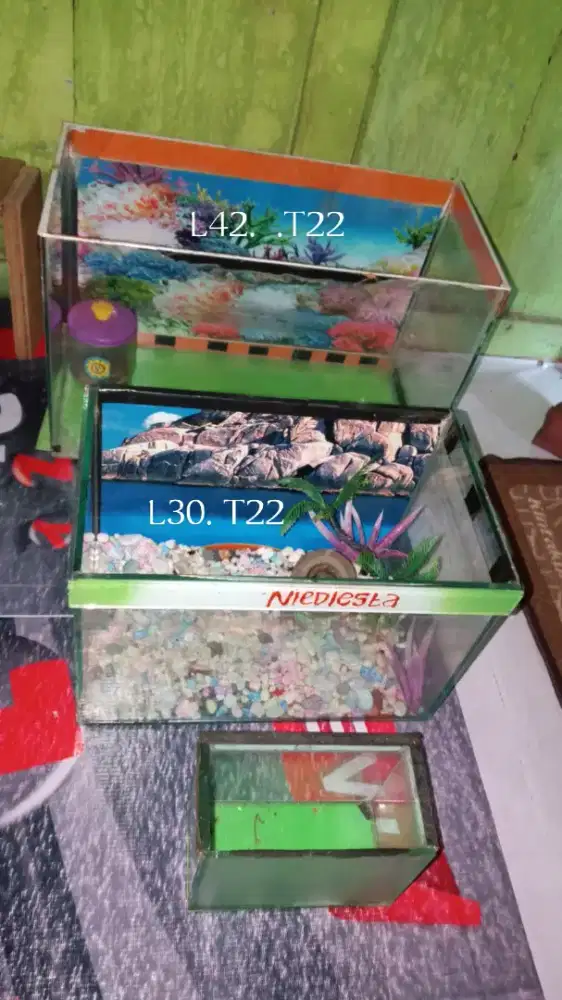 Aquarium bekas tapi masih layak pakai