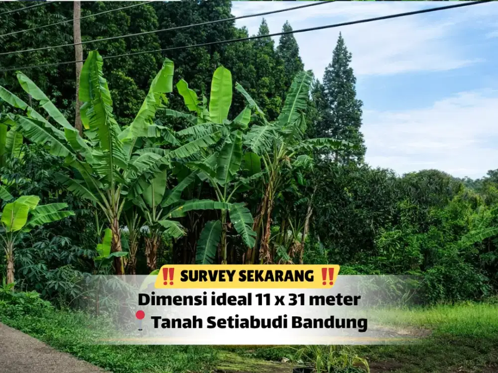 Kesempatan Punya Tanah di Sayap Setiabudi