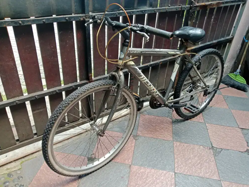 Sepeda gunung size 26