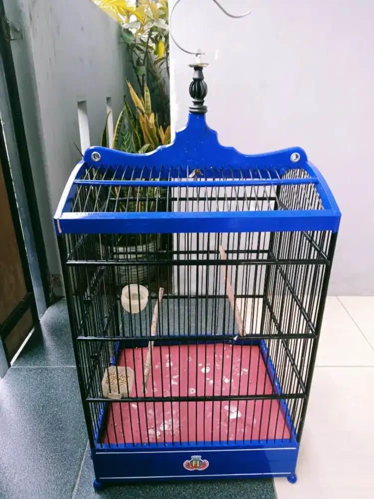 Kandang no tiga sawangan