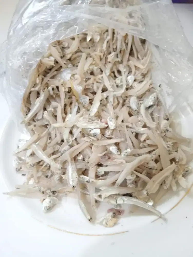 Dicari ART yang bisa nginap,