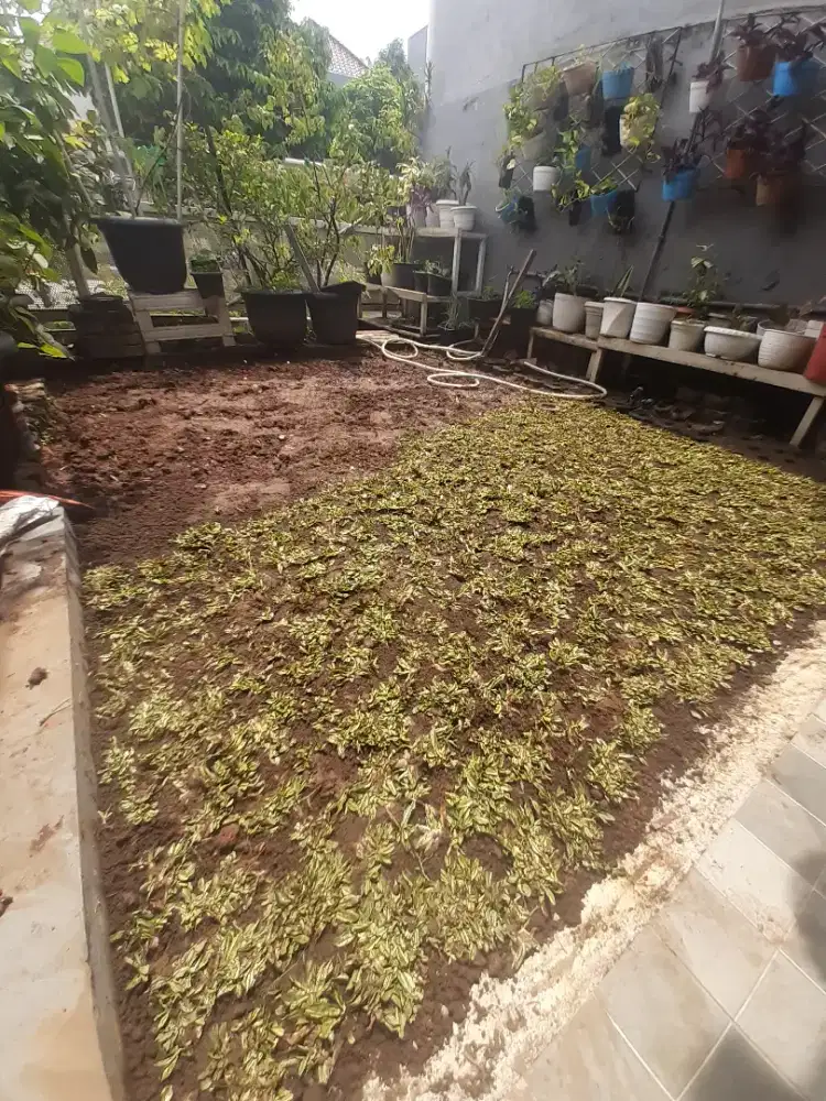 Jasa pembersian toren rumah