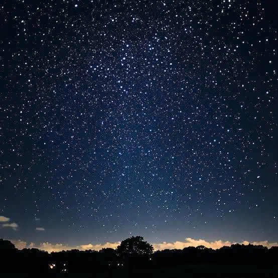 Jasa serabutan apa saja