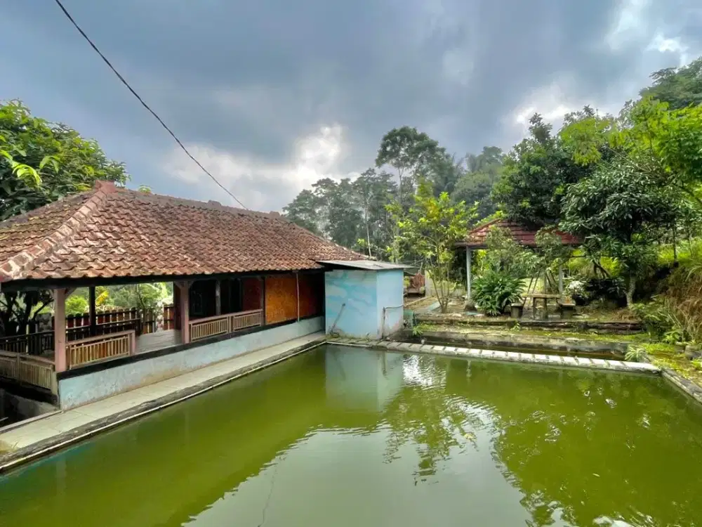 Tanah 1750 m2 + Bangunan + Kolam Ikan Bojong Purwakarta Dijual Murah
