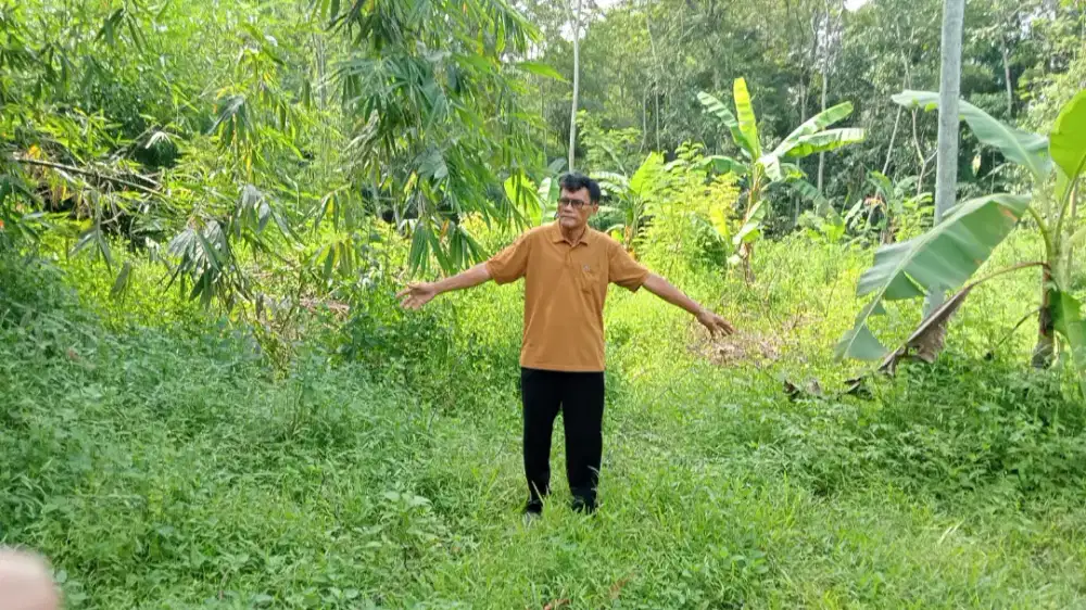 Jual tanah di minggir slm