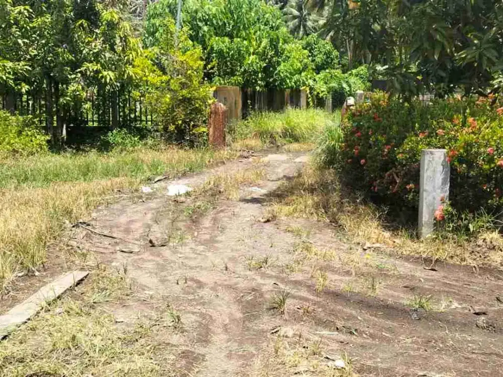 DIJUAL CEPAT TANAH PINGGIR PANTAI TANAHWANGKO, HARGA SANGAT MURAH