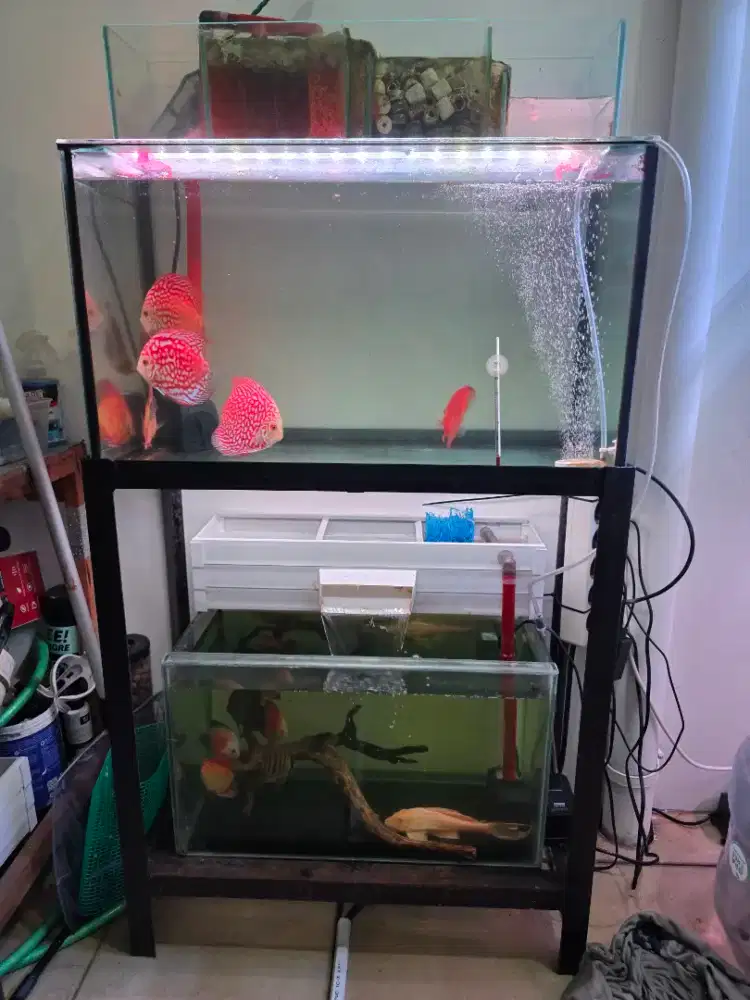 Aquarium Set Rak