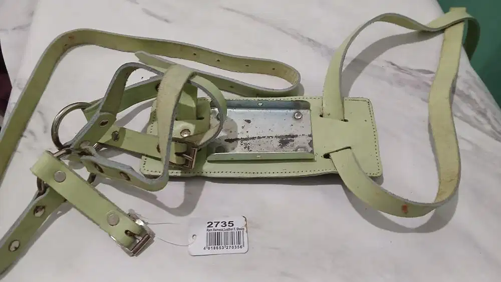 Dijual Harness untuk domba / kambing
