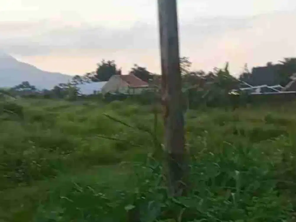 Lahan pertanian luas 1,4 HA harga 2,5 Milyar, 16 menit dari gerbang tol pandaan, Pasuruan