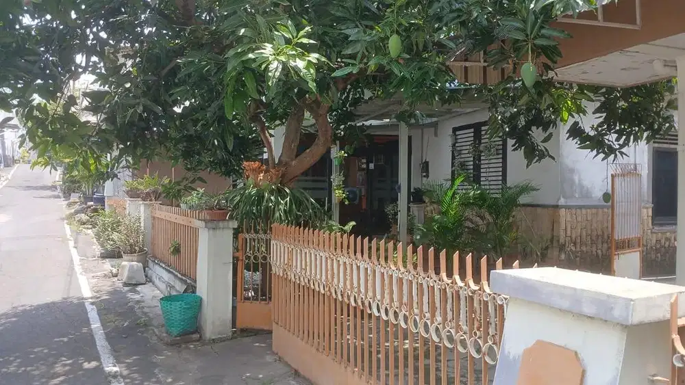 Rumah Siap Huni & Investasi