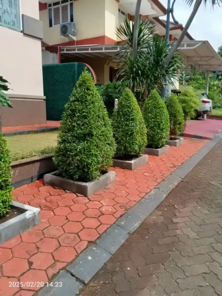 Perapihan Taman Rumah