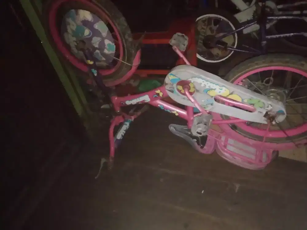 Speda anak ukuran 16