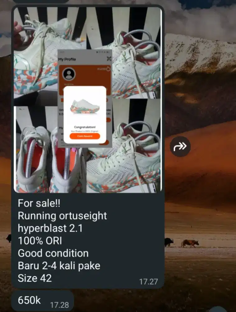 Sepatu Ortus original