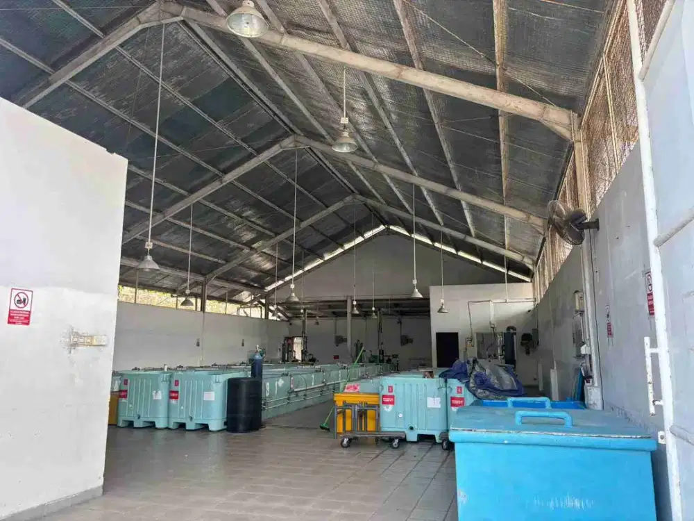 jual Gudang luas tanah 13 arwe Benoa Nusa Dua Bali