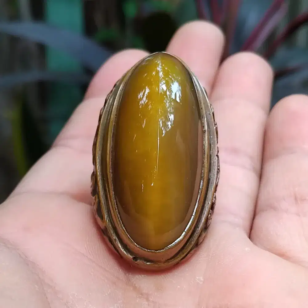 Batu akik pandan nanas