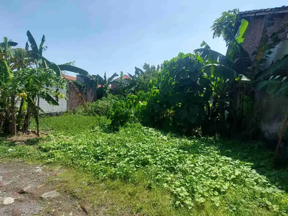 Tanah Lokasi Sugihwaras Candi Sidoarjo