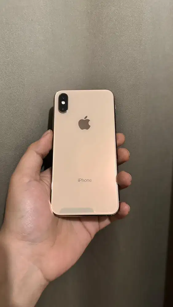 Iphone xs 64gb ex inter beacukai