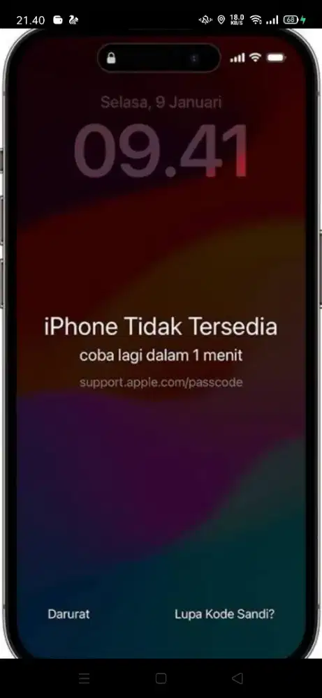 Terima jasa flash iphone