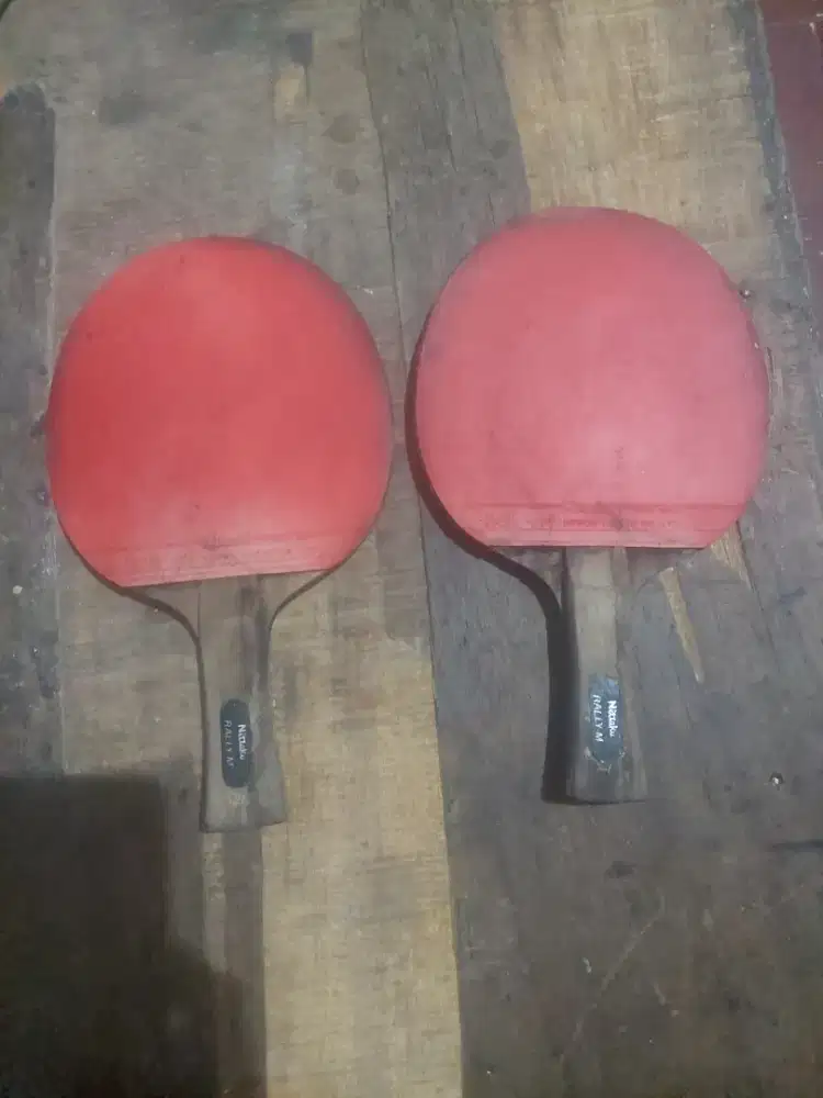 Bet pingpong nittaku rally m