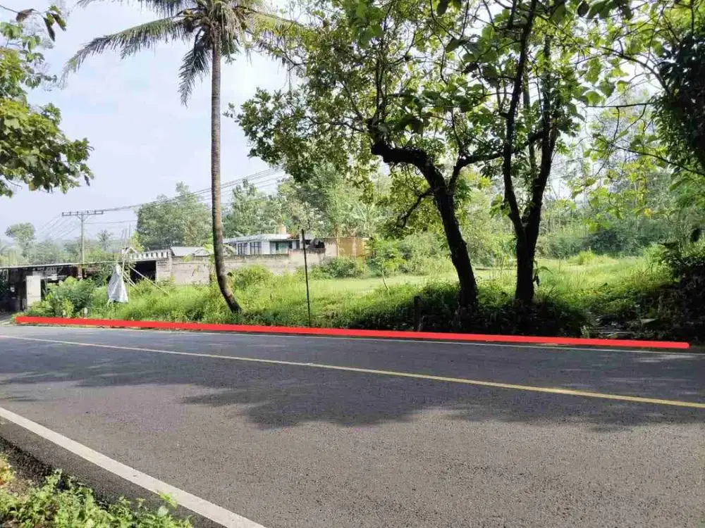 Tanah Dijual Di Jalan Jogja - Wonosari Patuk Gunungkidul Yogyakarta