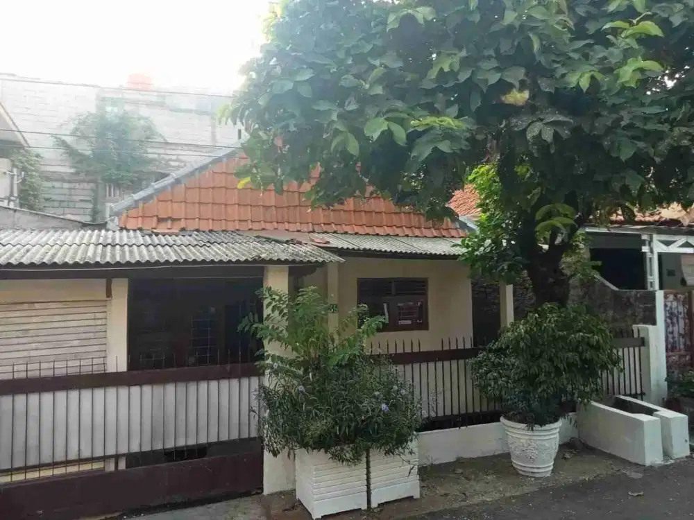 rumah murah hitung tanah harga dibawah pasar,siap huni,bebas banjir di kayu putih,pulogadung,Pulomas,jakarta timur