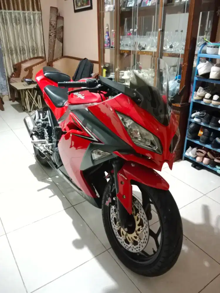 Jual Cepat Ninja Fi 250 th 2016 low KM terawat pribadi