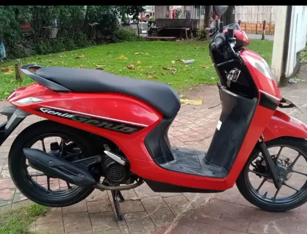 Honda Genio 2019