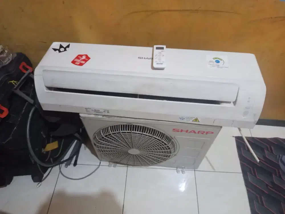 AC Sharp 1/2pk  +pqsang