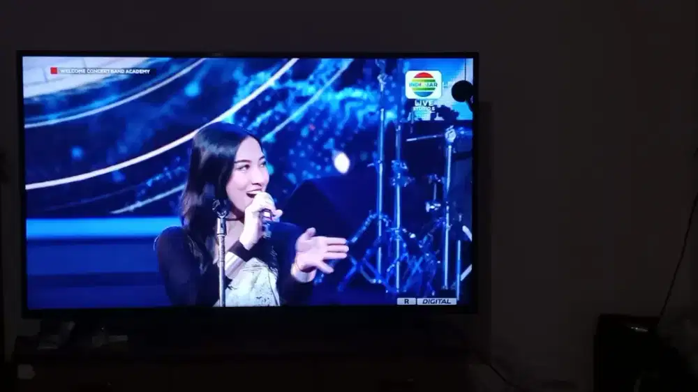 TV SONY 55 INC  smart tv Google tv