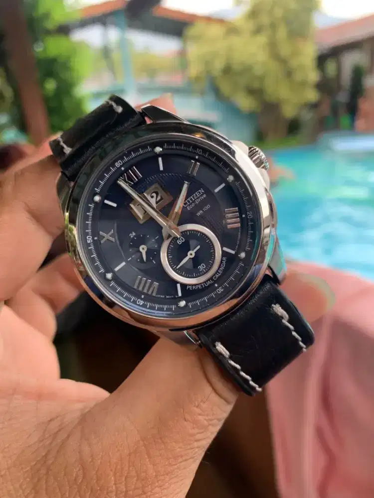 citizen perpetual calendar