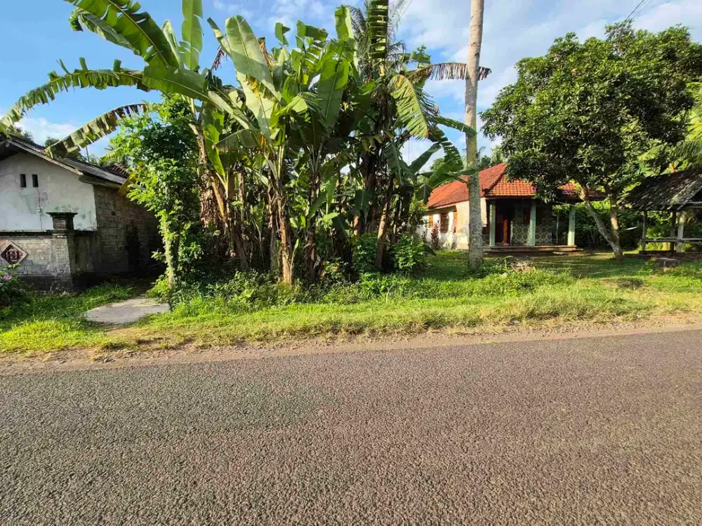 TANAH 13.5 ARE JALAN ASPAL SAHADEWA CUPEL