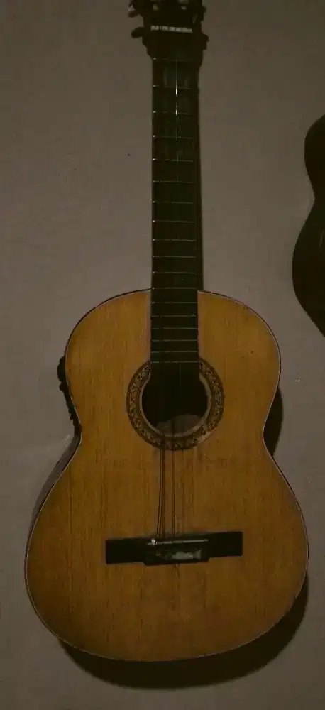 Gitar custom jual cepat aja 285k