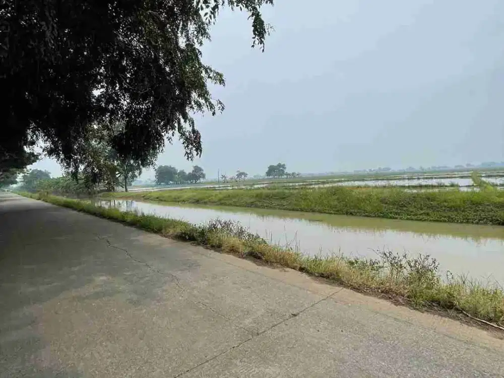 Dijual sawah pinggir jalan