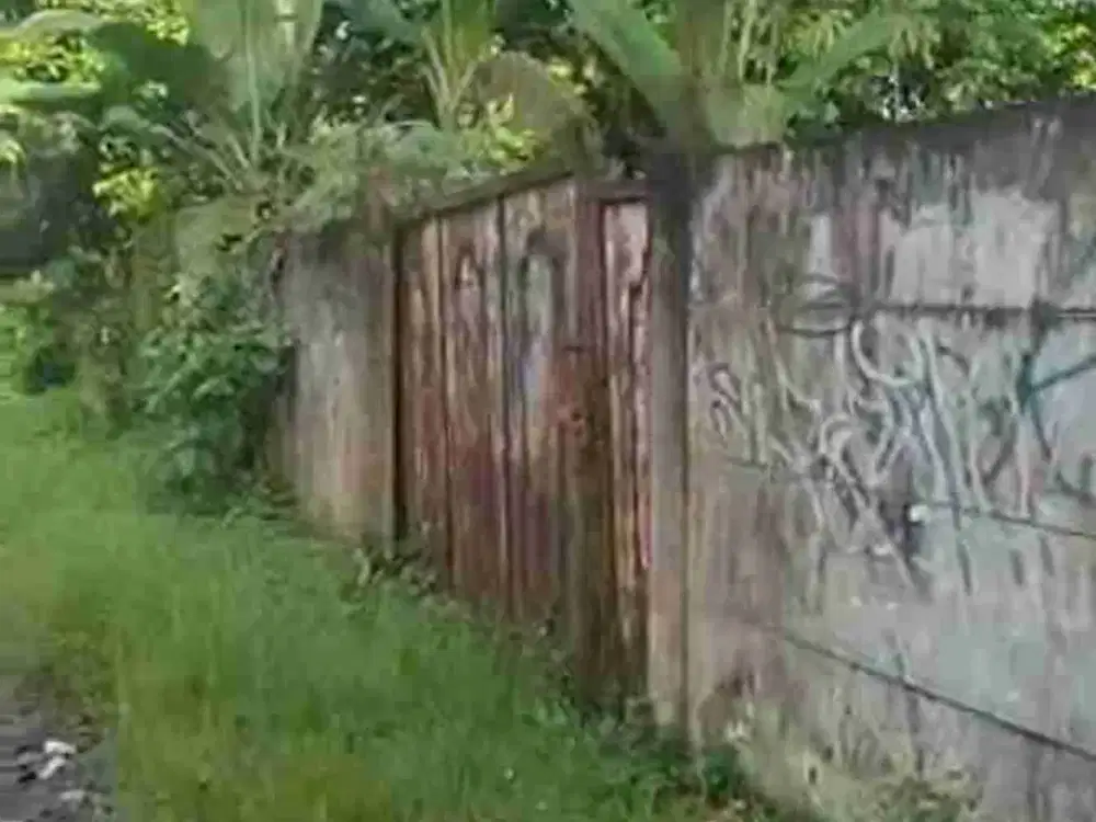 TANAH CAKEP SHM BONUS POHON BUAH2 AN