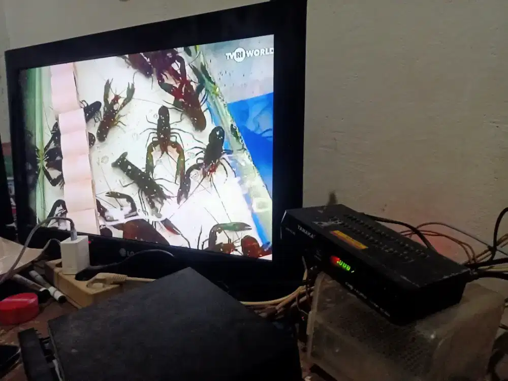 Di jual tv besar murah meriah wa dan hp aja