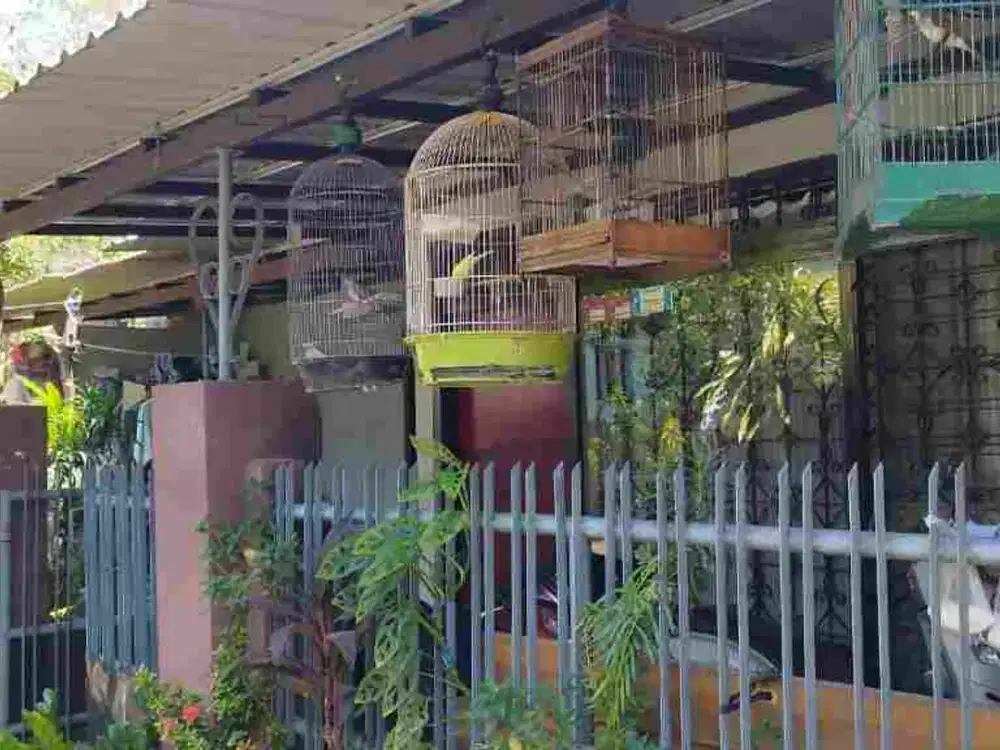 Dijual Rumah Surabaya Selatan