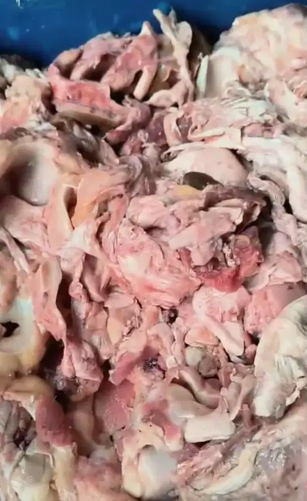 Urat sapi tahu campur