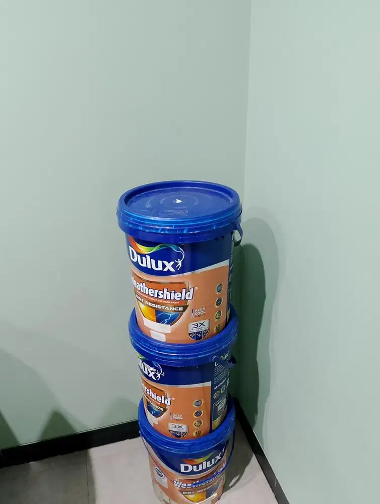 Cat Dulux Waterseald