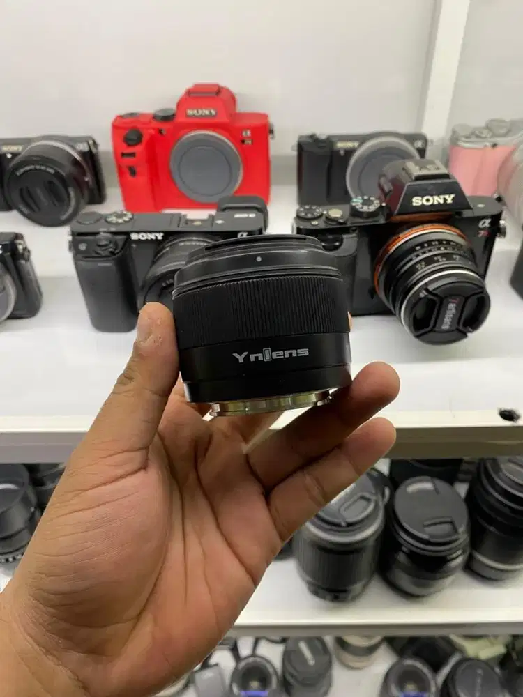 Lensa fix 50mm yongnuo for sony termurah normal