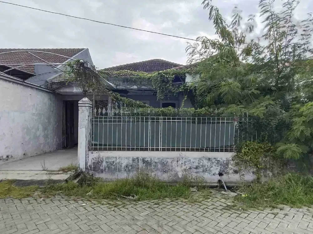 Murah Klampis Tengah Kota Hanya 6 Juta Per Meter