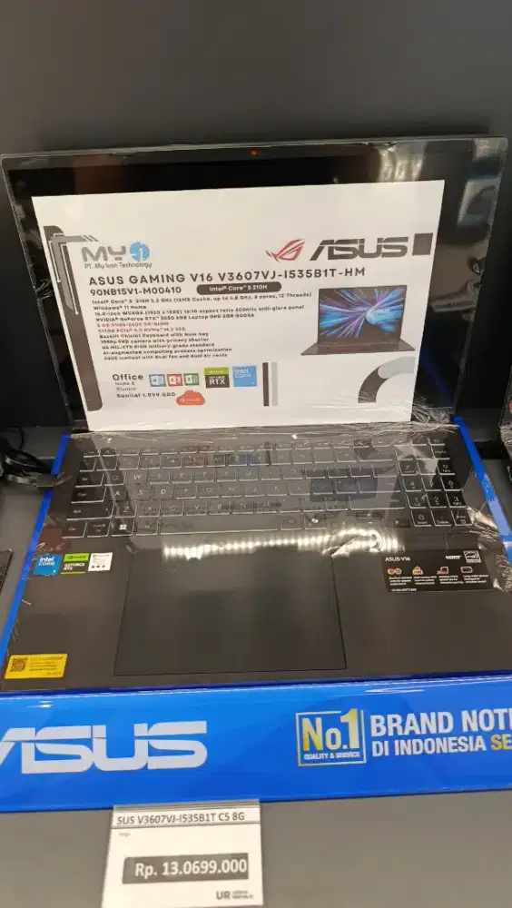 Asus Gaming V16 V3607VJ